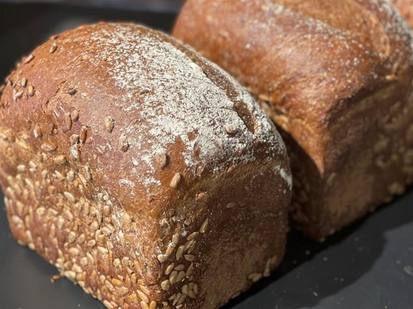 Maasdonker zonnebloempitten